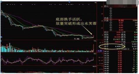 換手率高的股票背后的故事，揭示日常趣味與深意