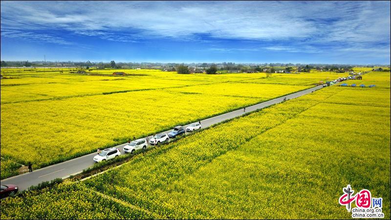 邛崍冉義小區(qū)，見證溫馨日常的最新圖片