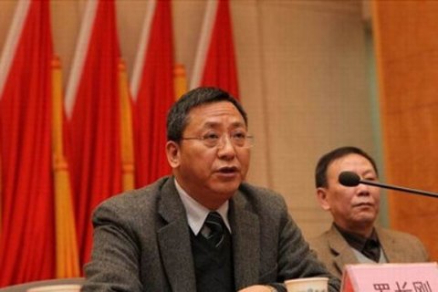 武漢羅長(zhǎng)剛最新判決及其分析概述