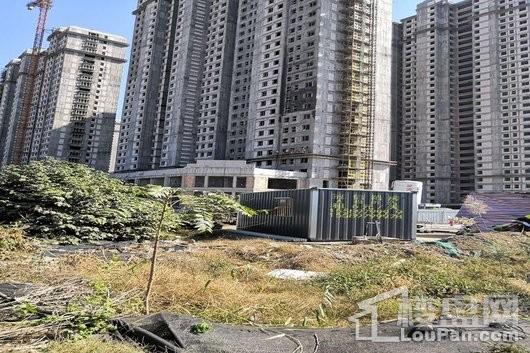 濟(jì)寧西雅圖最新動態(tài)更新????（最新消息匯總）